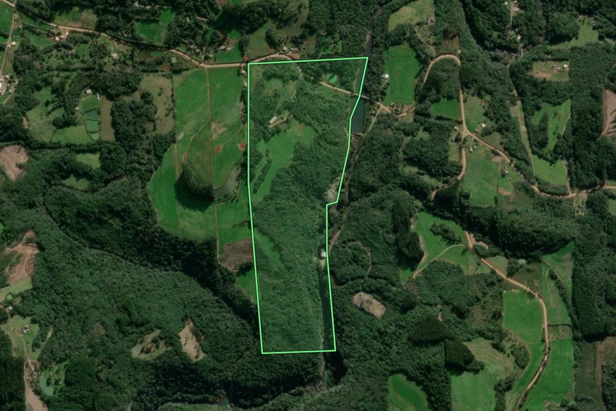 Imagem de satélite do imóvel rural em Vista Alegre do Prata (RS), com o contorno declarado no CAR desenhado por cima.