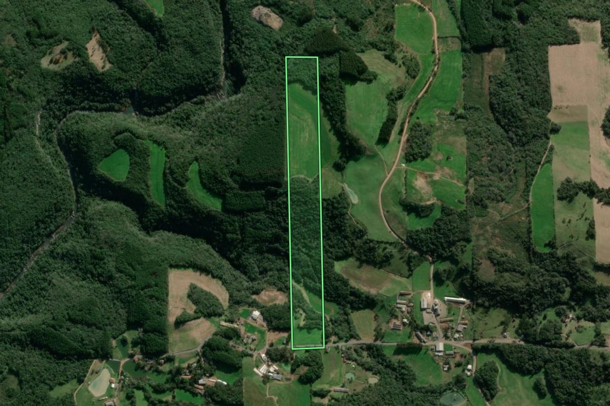 Imagem de satélite do imóvel rural em Vista Alegre do Prata (RS), com o contorno declarado no CAR desenhado por cima.
