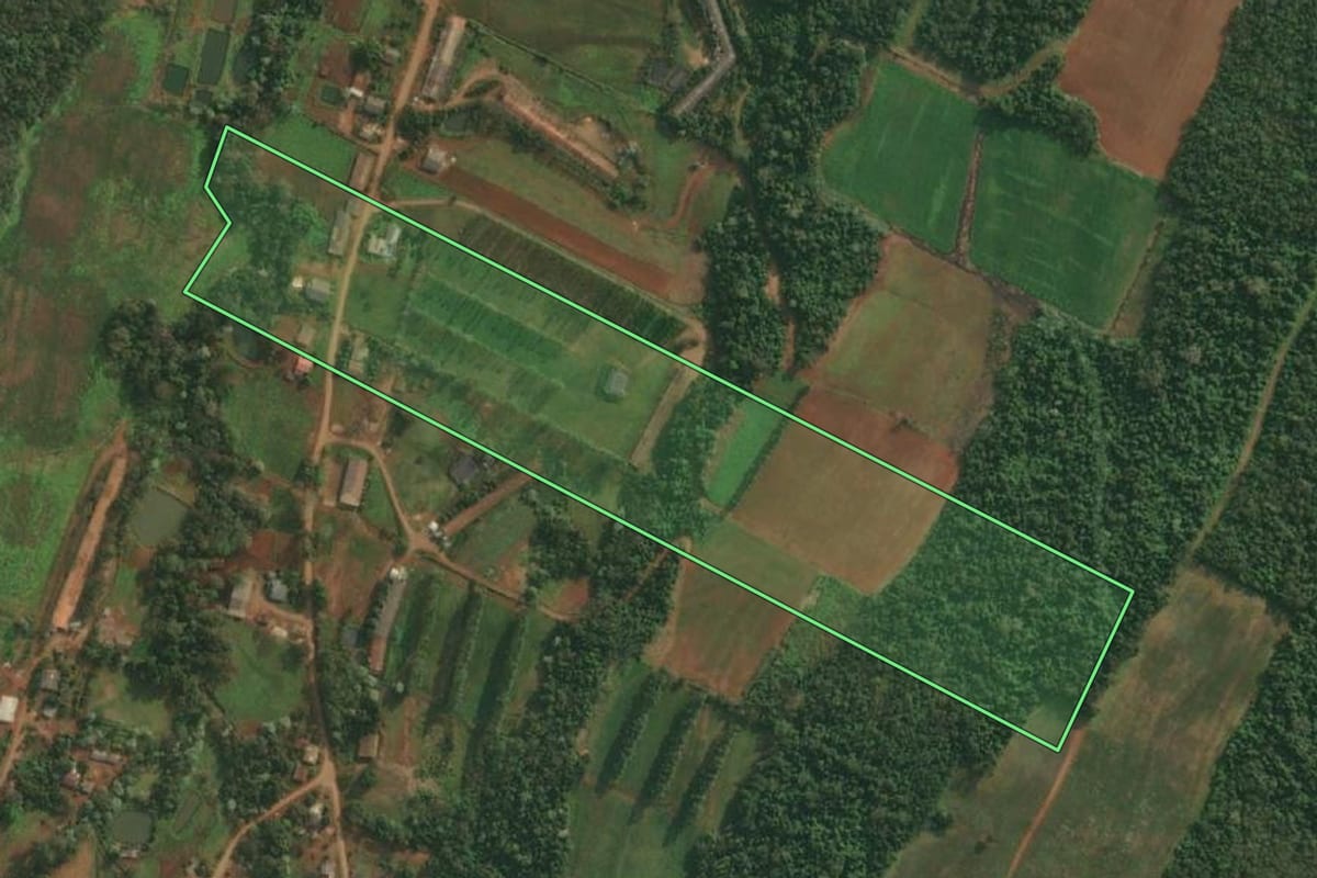 Imagem de satélite do imóvel rural em Vista Gaúcha (RS), com o contorno declarado no CAR desenhado por cima.
