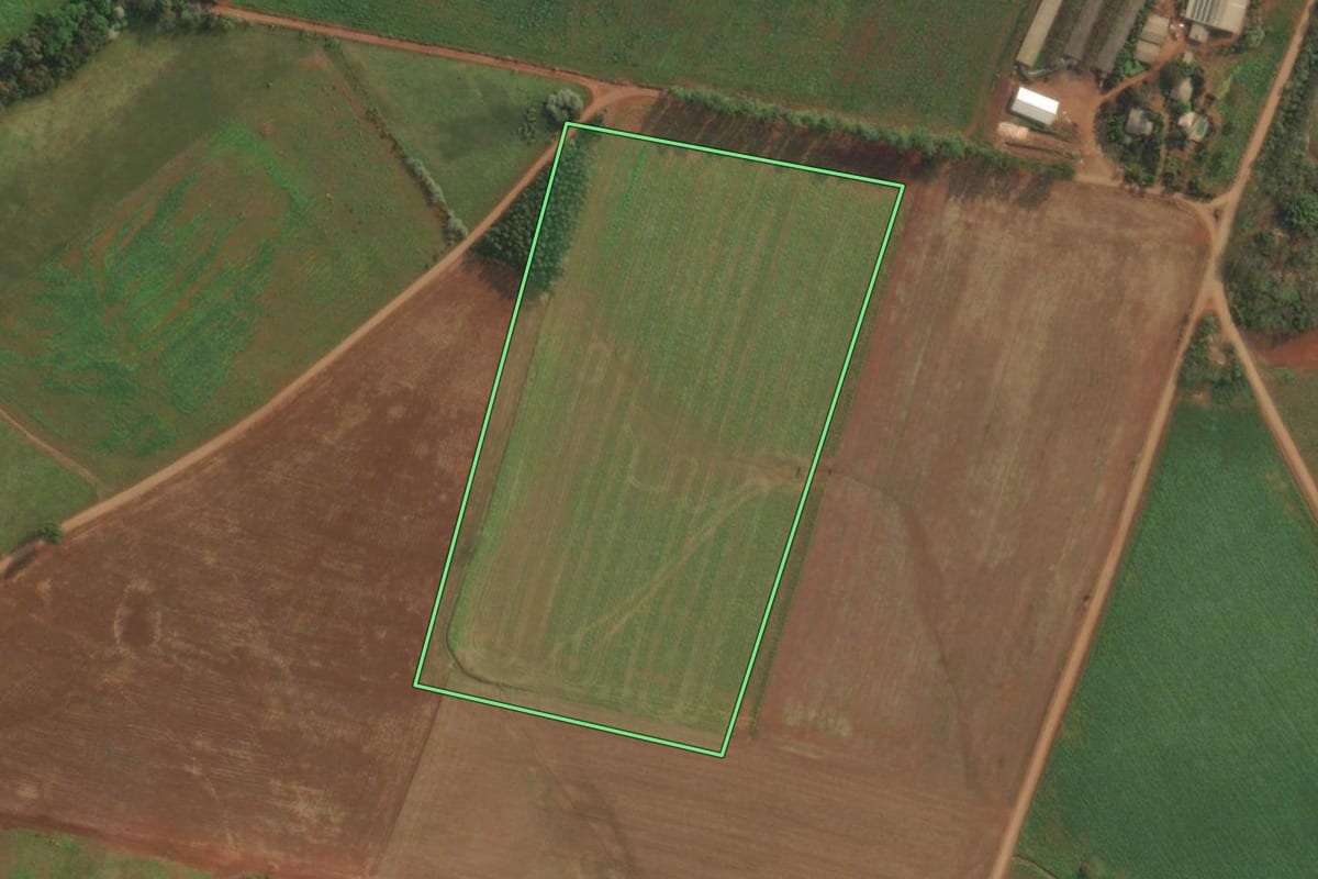 Imagem de satélite do imóvel rural em Vista Gaúcha (RS), com o contorno declarado no CAR desenhado por cima.