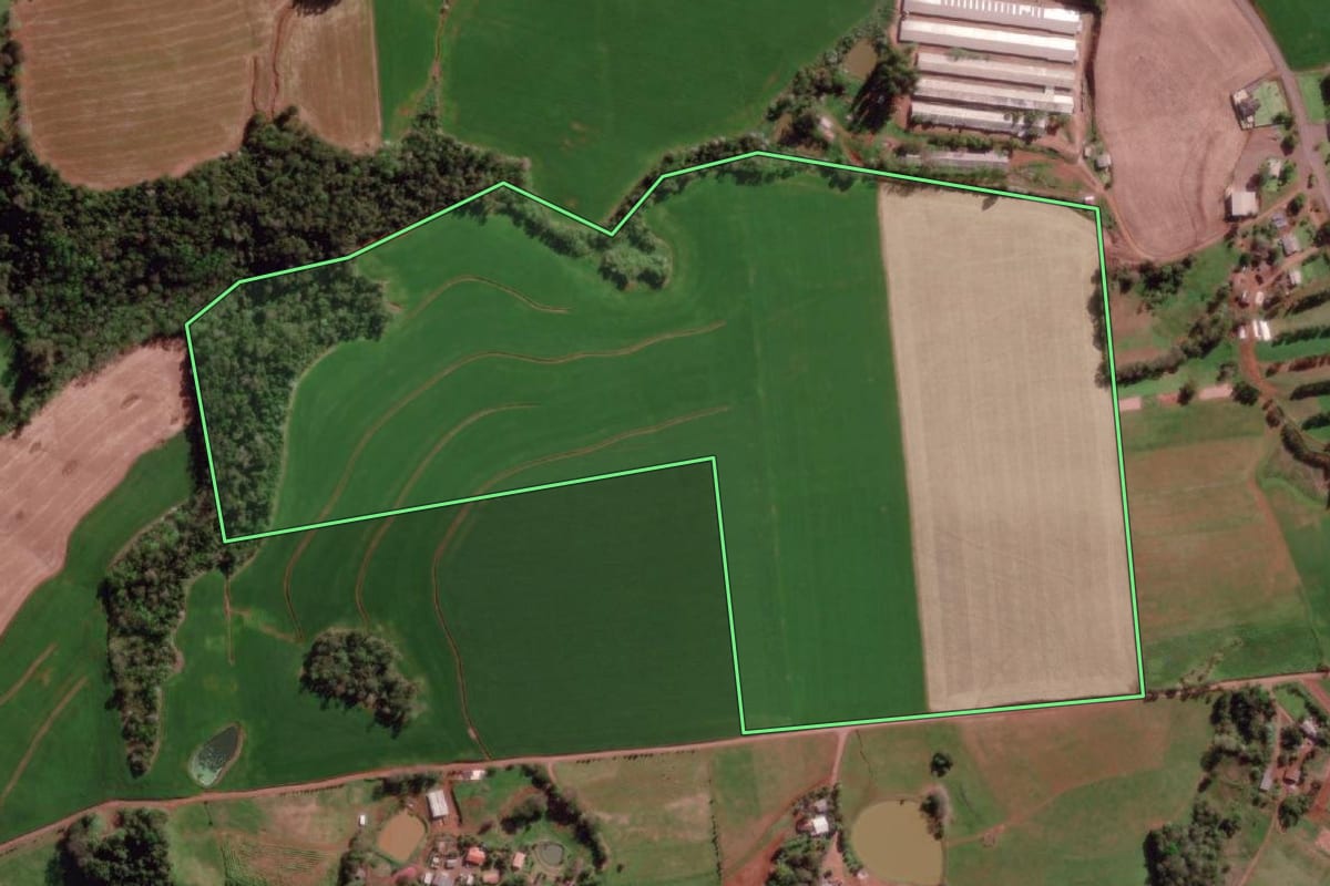 Imagem de satélite do imóvel rural em Vista Gaúcha (RS), com o contorno declarado no CAR desenhado por cima.