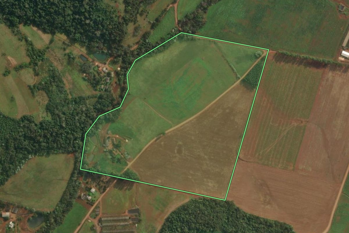Imagem de satélite do imóvel rural em Vista Gaúcha (RS), com o contorno declarado no CAR desenhado por cima.