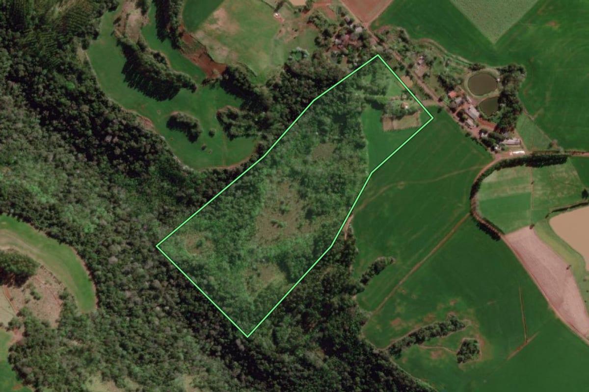 Imagem de satélite do imóvel rural em Vista Gaúcha (RS), com o contorno declarado no CAR desenhado por cima.