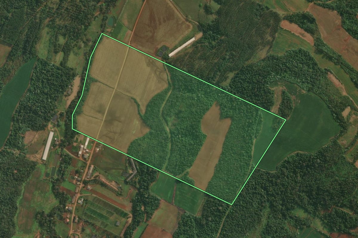 Imagem de satélite do imóvel rural em Vista Gaúcha (RS), com o contorno declarado no CAR desenhado por cima.