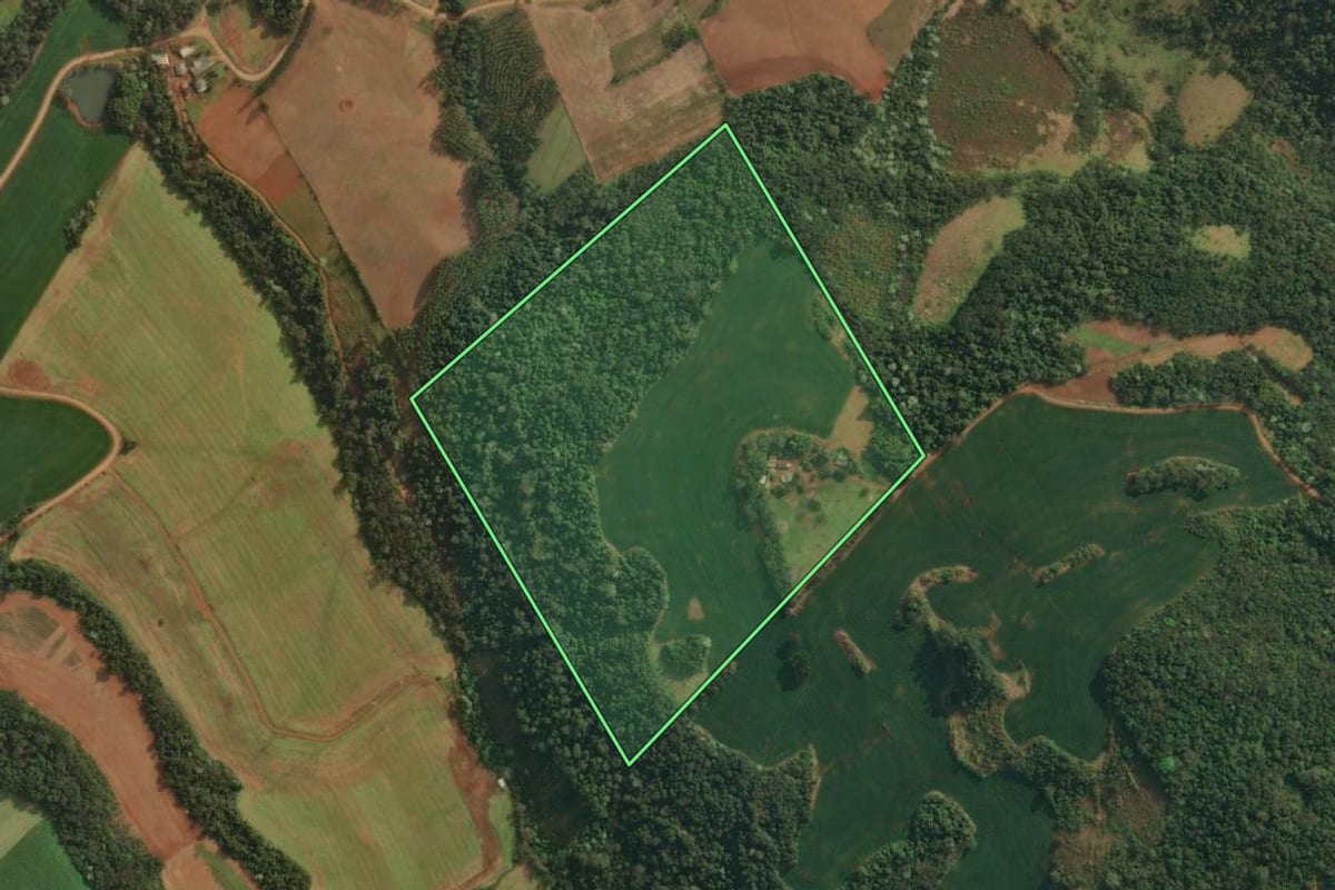 Imagem de satélite do imóvel rural em Vista Gaúcha (RS), com o contorno declarado no CAR desenhado por cima.