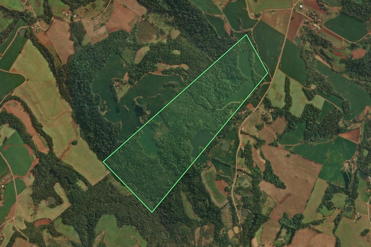 Imagem de satélite do imóvel rural em Vista Gaúcha (RS), com o contorno declarado no CAR desenhado por cima.