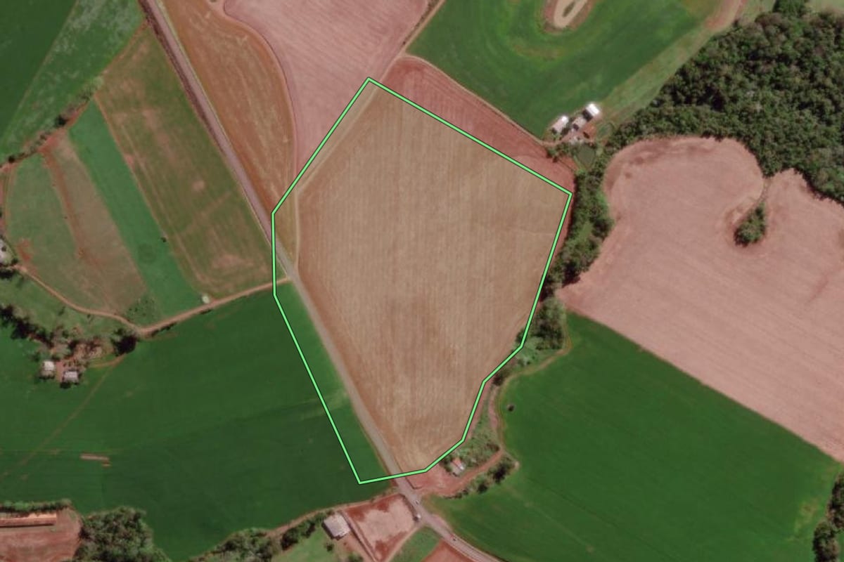 Imagem de satélite do imóvel rural em Vista Gaúcha (RS), com o contorno declarado no CAR desenhado por cima.