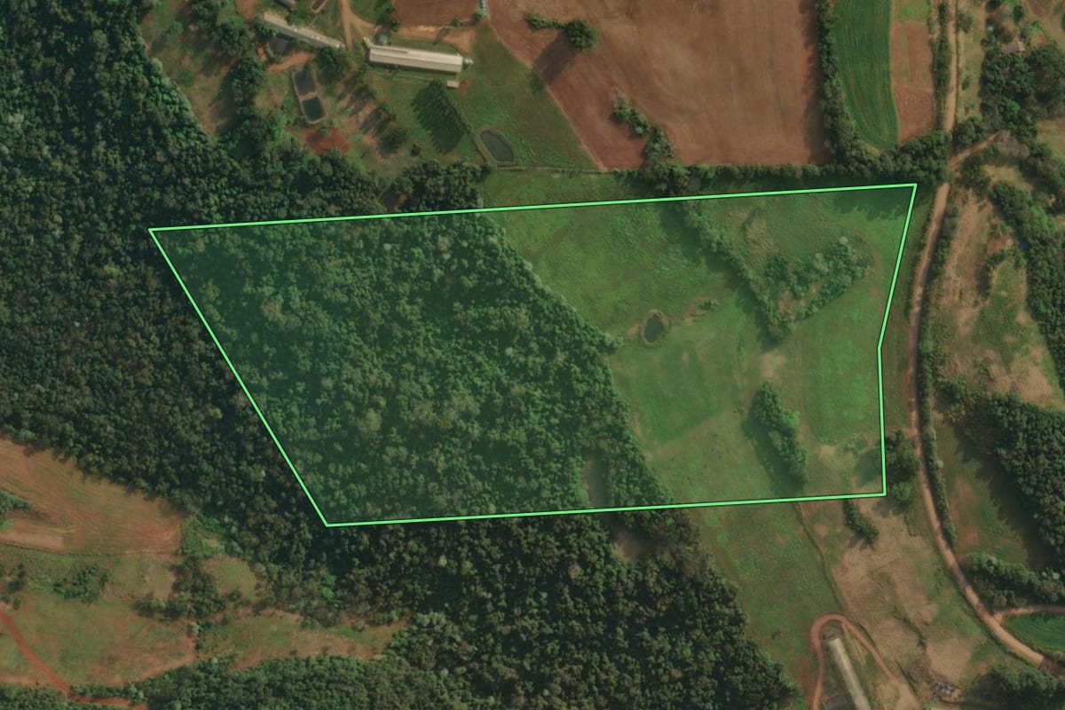 Imagem de satélite do imóvel rural em Vista Gaúcha (RS), com o contorno declarado no CAR desenhado por cima.