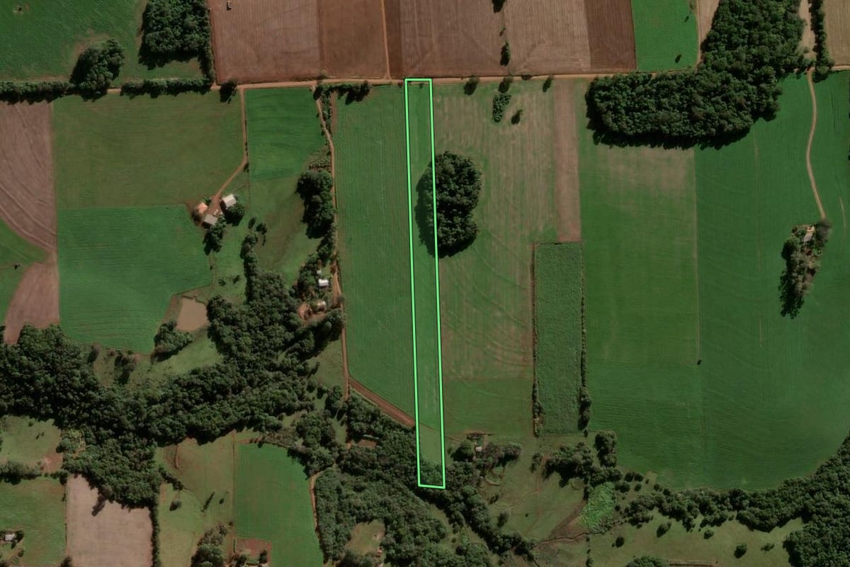 Imagem de satélite do imóvel rural em Vitória das Missões (RS), com o contorno declarado no CAR desenhado por cima.