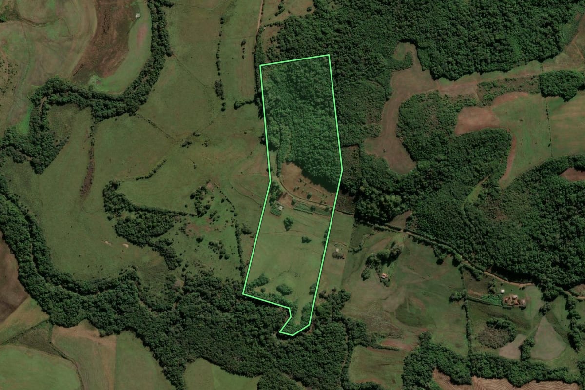 Imagem de satélite do imóvel rural em Vitória das Missões (RS), com o contorno declarado no CAR desenhado por cima.