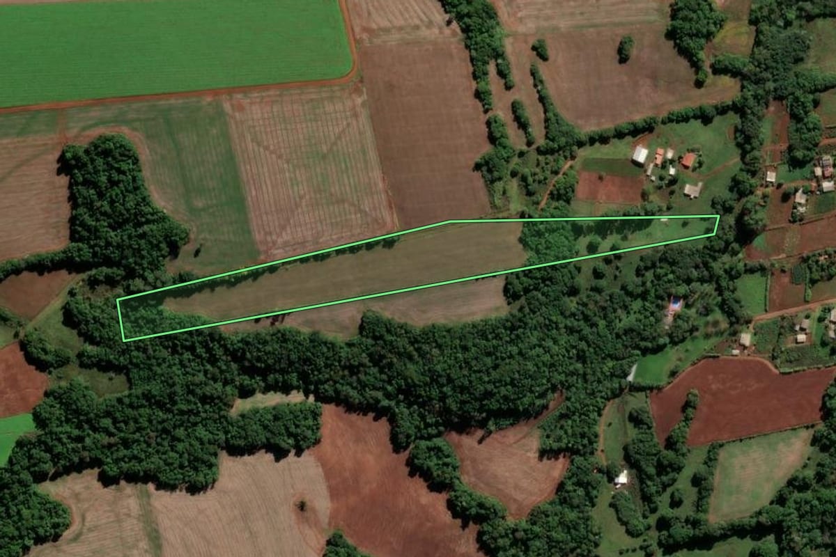 Imagem de satélite do imóvel rural em Vitória das Missões (RS), com o contorno declarado no CAR desenhado por cima.