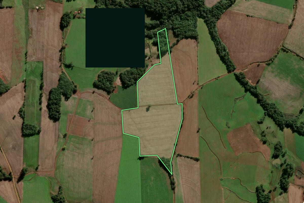 Imagem de satélite do imóvel rural em Vitória das Missões (RS), com o contorno declarado no CAR desenhado por cima.