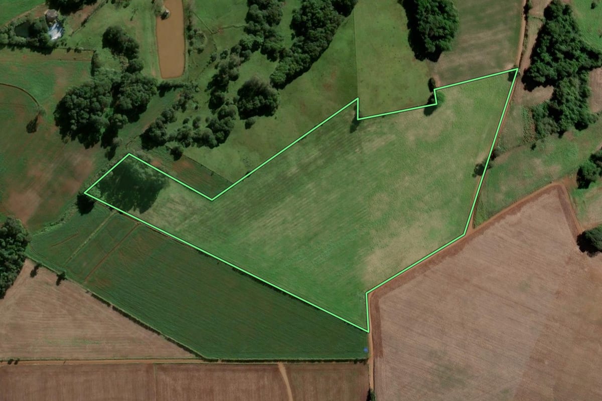 Imagem de satélite do imóvel rural em Vitória das Missões (RS), com o contorno declarado no CAR desenhado por cima.