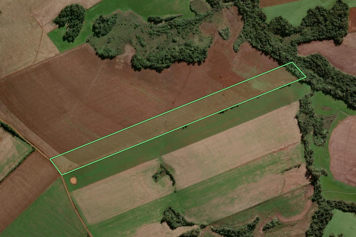 Imagem de satélite do imóvel rural em Vitória das Missões (RS), com o contorno declarado no CAR desenhado por cima.