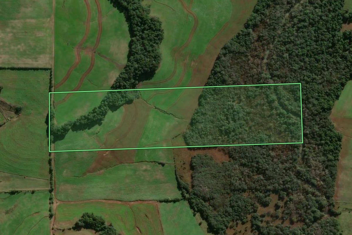 Imagem de satélite do imóvel rural em Vitória das Missões (RS), com o contorno declarado no CAR desenhado por cima.