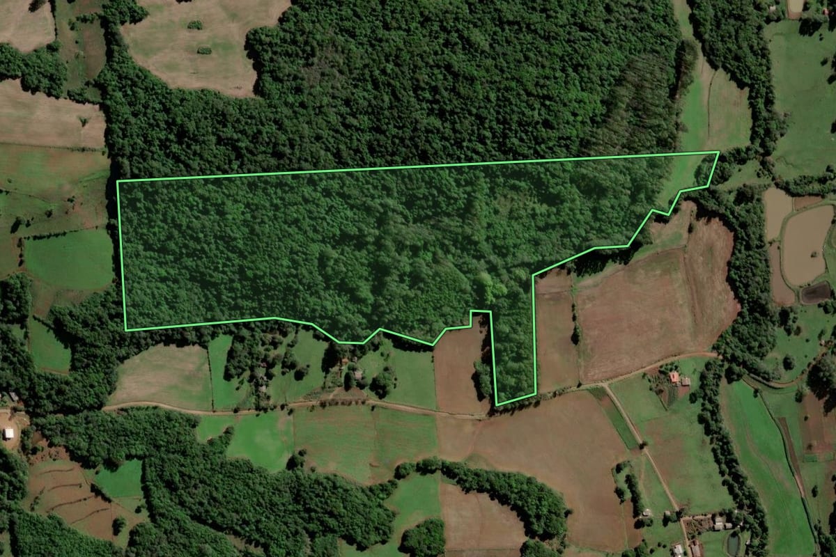 Imagem de satélite do imóvel rural em Vitória das Missões (RS), com o contorno declarado no CAR desenhado por cima.