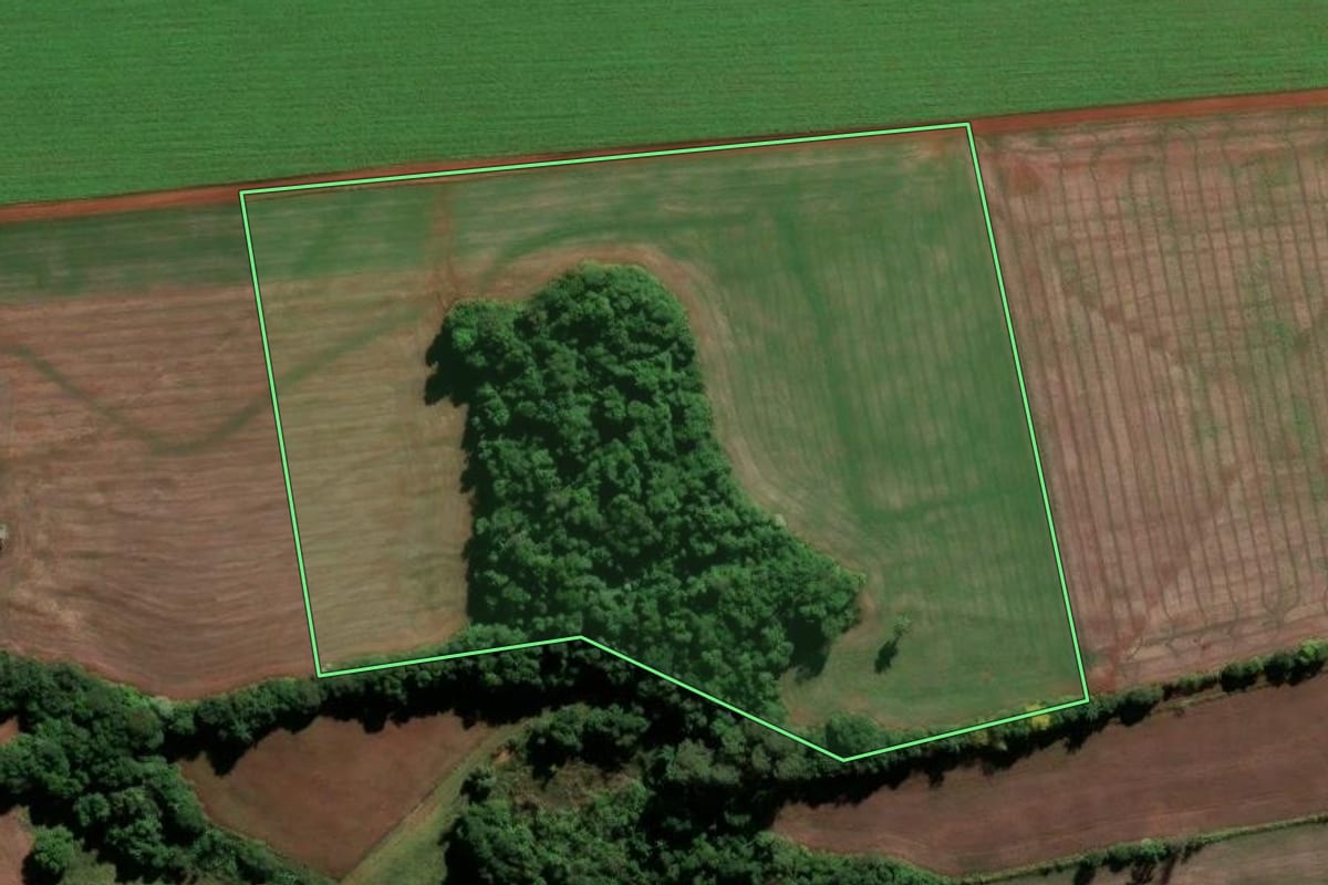 Imagem de satélite do imóvel rural em Vitória das Missões (RS), com o contorno declarado no CAR desenhado por cima.
