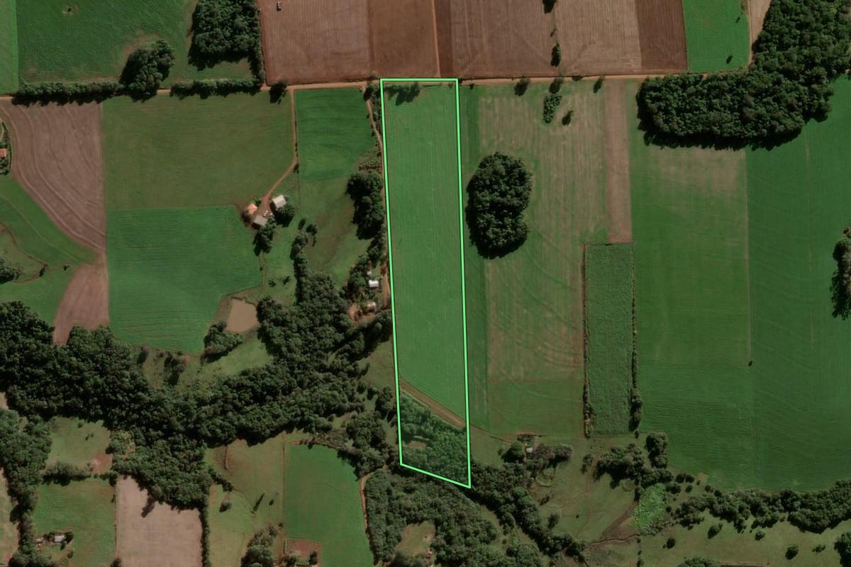 Imagem de satélite do imóvel rural em Vitória das Missões (RS), com o contorno declarado no CAR desenhado por cima.