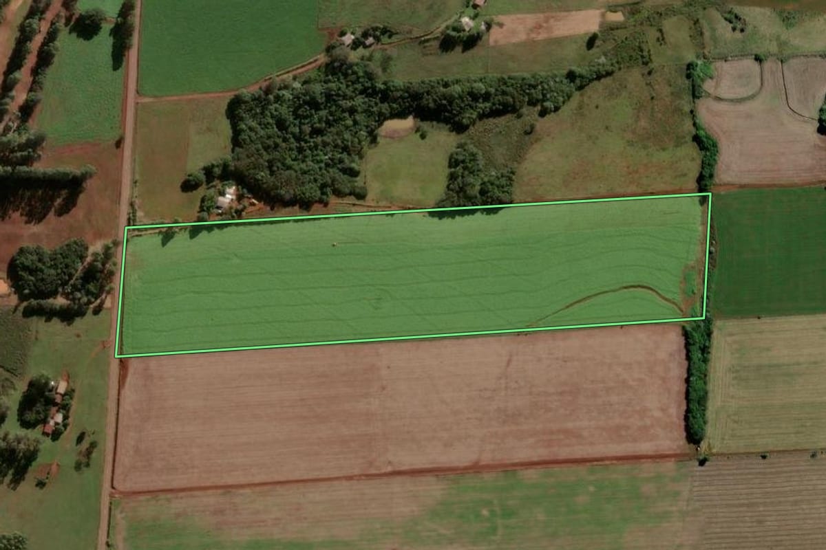 Imagem de satélite do imóvel rural em Vitória das Missões (RS), com o contorno declarado no CAR desenhado por cima.