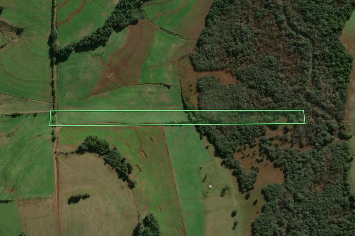 Imagem de satélite do imóvel rural em Vitória das Missões (RS), com o contorno declarado no CAR desenhado por cima.