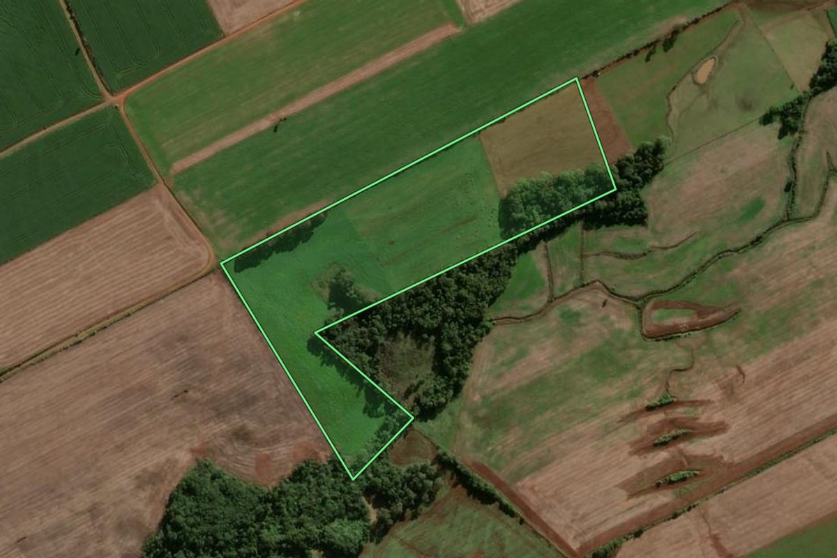 Imagem de satélite do imóvel rural em Vitória das Missões (RS), com o contorno declarado no CAR desenhado por cima.