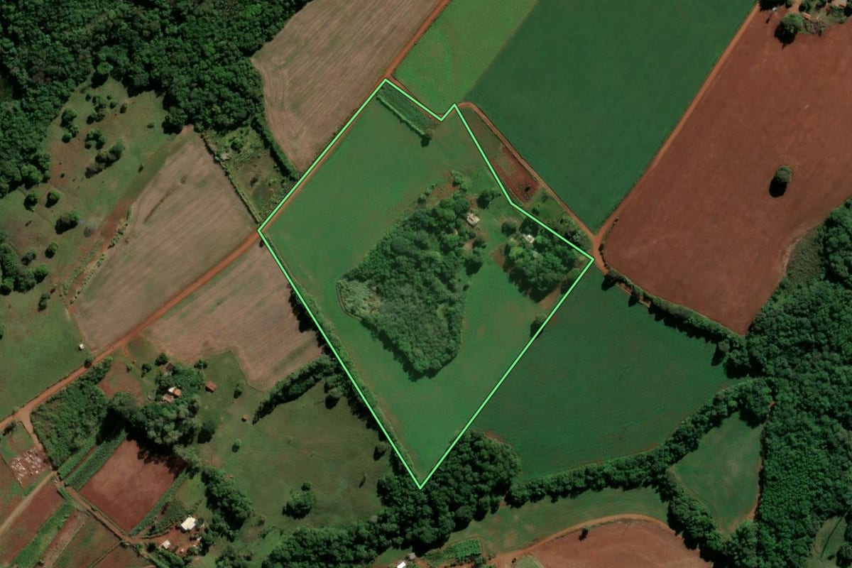 Imagem de satélite do imóvel rural em Vitória das Missões (RS), com o contorno declarado no CAR desenhado por cima.