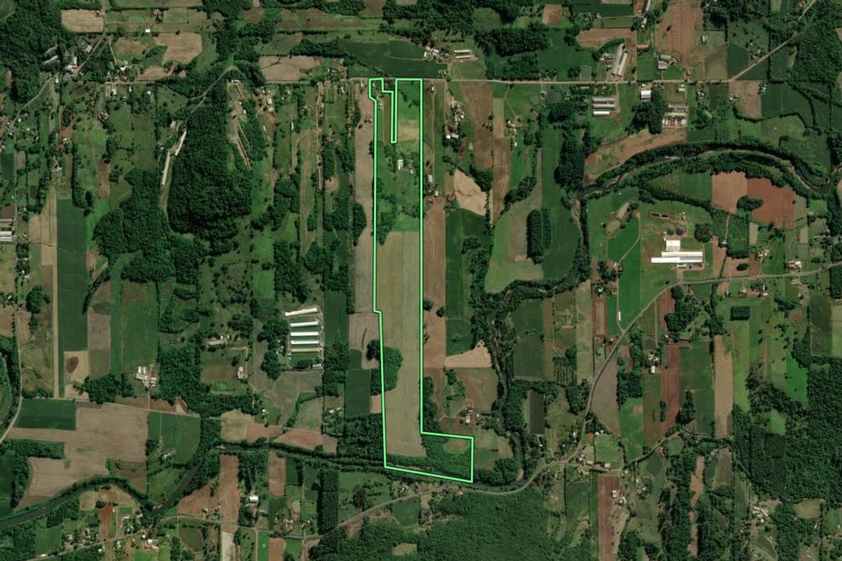 Imagem de satélite do imóvel rural em Westfália (RS), com o contorno declarado no CAR desenhado por cima.