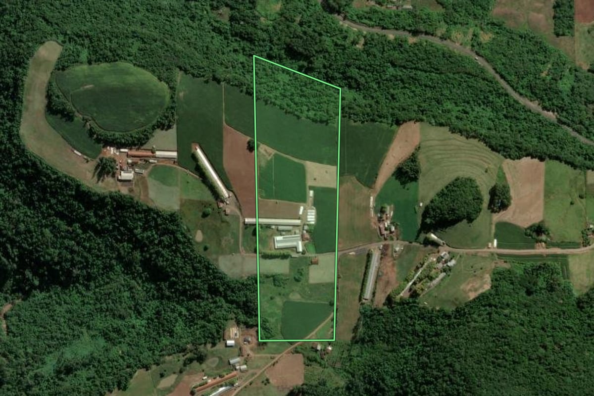 Imagem de satélite do imóvel rural em Westfália (RS), com o contorno declarado no CAR desenhado por cima.