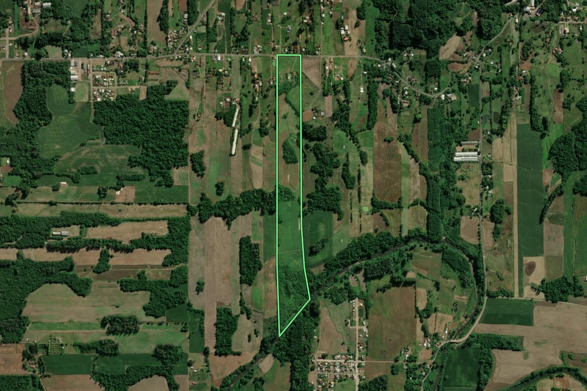 Imagem de satélite do imóvel rural em Westfália (RS), com o contorno declarado no CAR desenhado por cima.