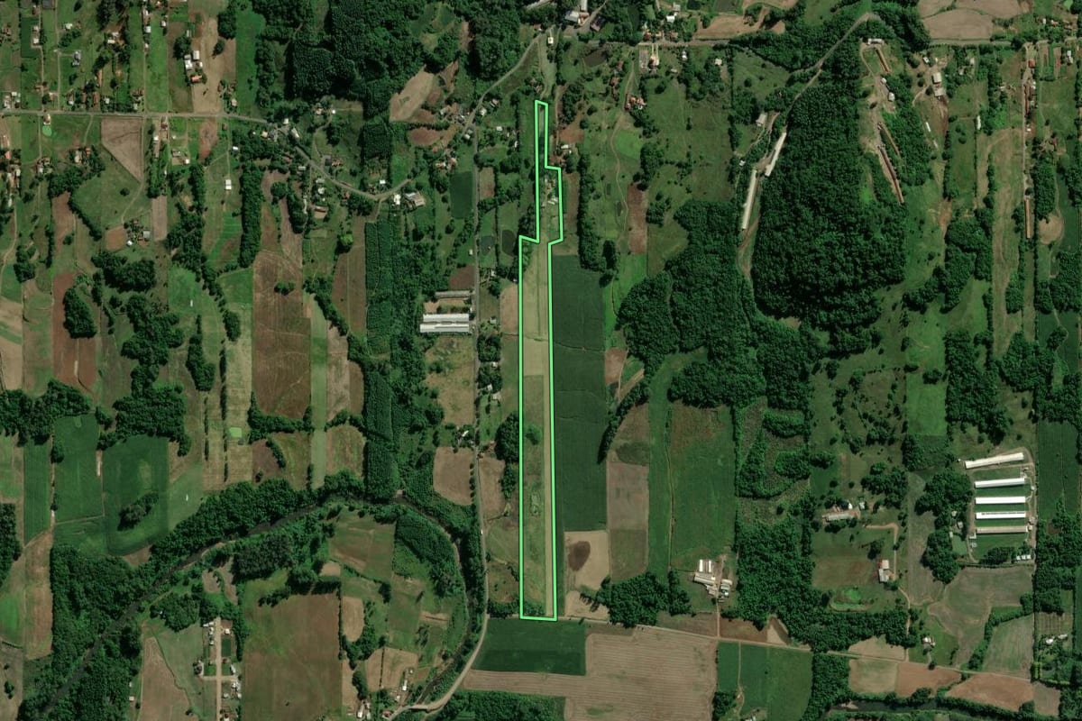 Imagem de satélite do imóvel rural em Westfália (RS), com o contorno declarado no CAR desenhado por cima.