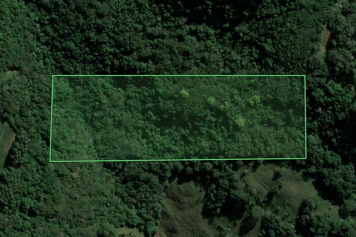 Imagem de satélite do imóvel rural em Westfália (RS), com o contorno declarado no CAR desenhado por cima.