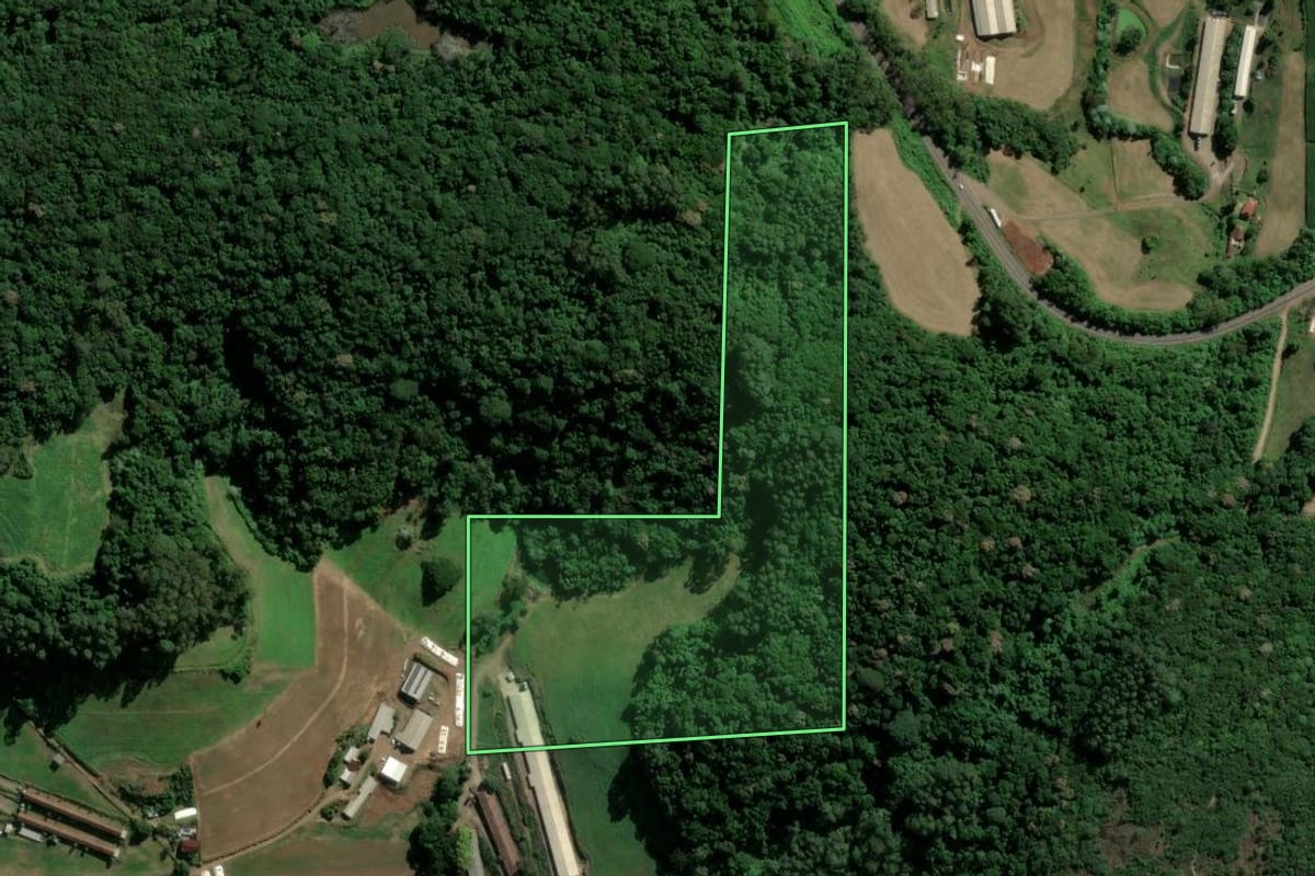 Imagem de satélite do imóvel rural em Westfália (RS), com o contorno declarado no CAR desenhado por cima.