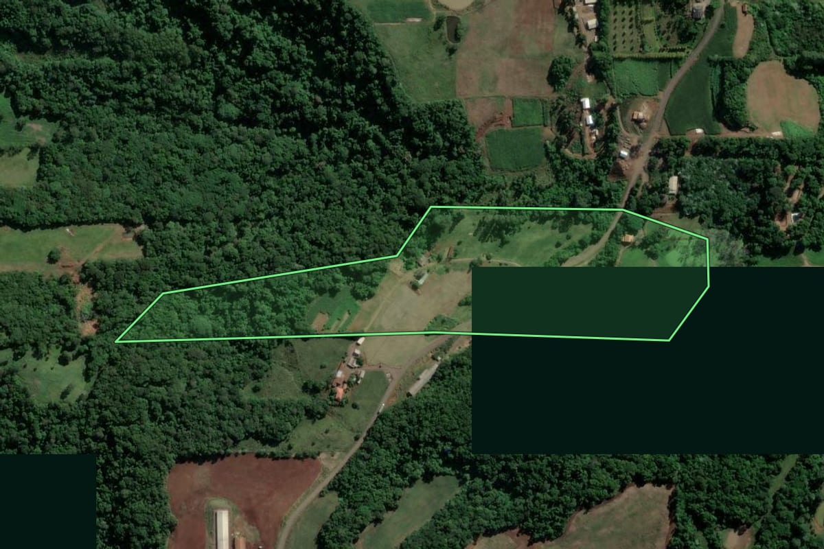 Imagem de satélite do imóvel rural em Westfália (RS), com o contorno declarado no CAR desenhado por cima.
