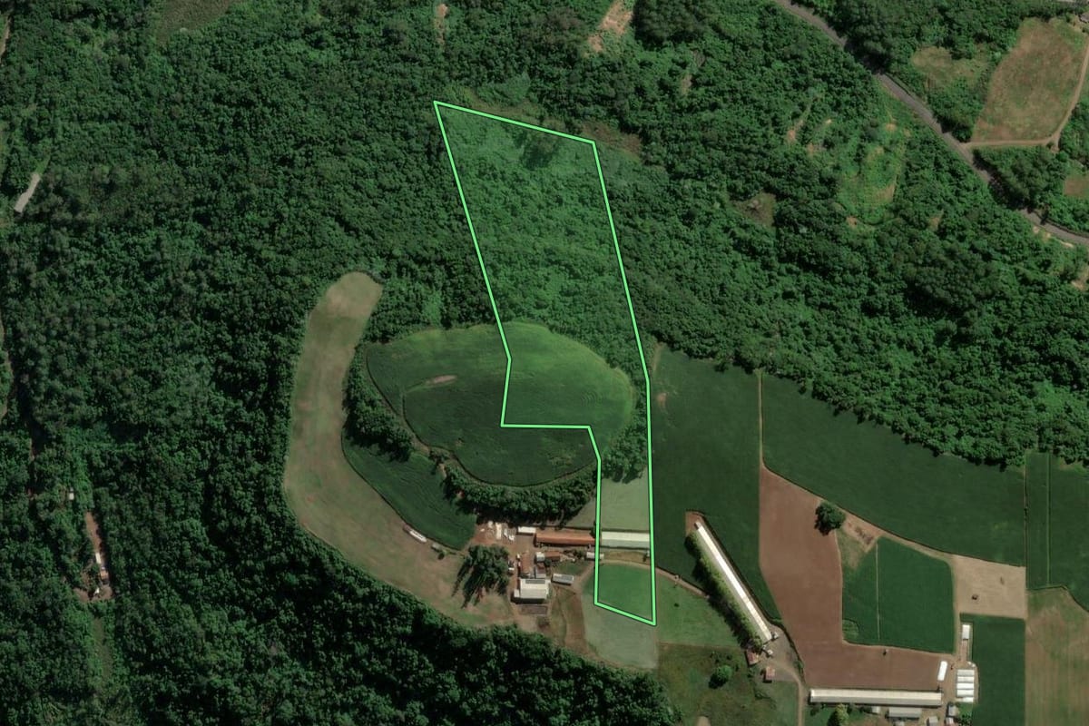 Imagem de satélite do imóvel rural em Westfália (RS), com o contorno declarado no CAR desenhado por cima.