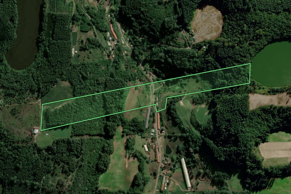 Imagem de satélite do imóvel rural em Westfália (RS), com o contorno declarado no CAR desenhado por cima.