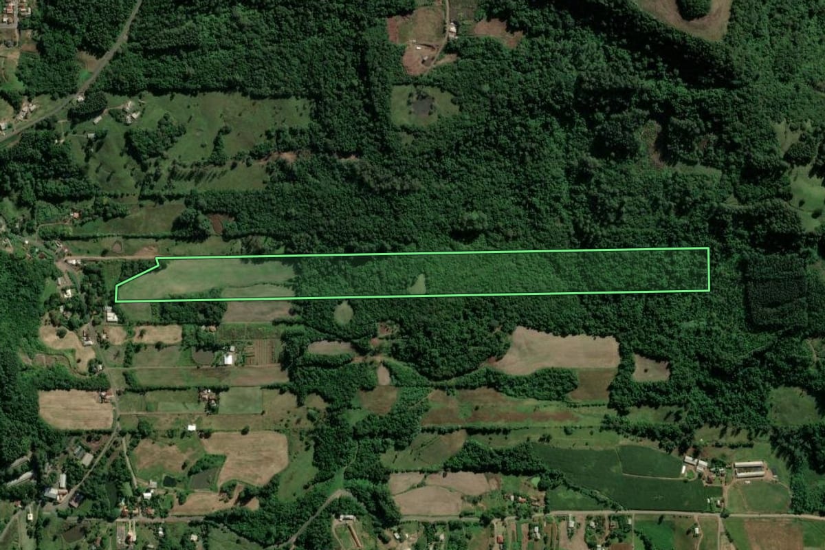 Imagem de satélite do imóvel rural em Westfália (RS), com o contorno declarado no CAR desenhado por cima.
