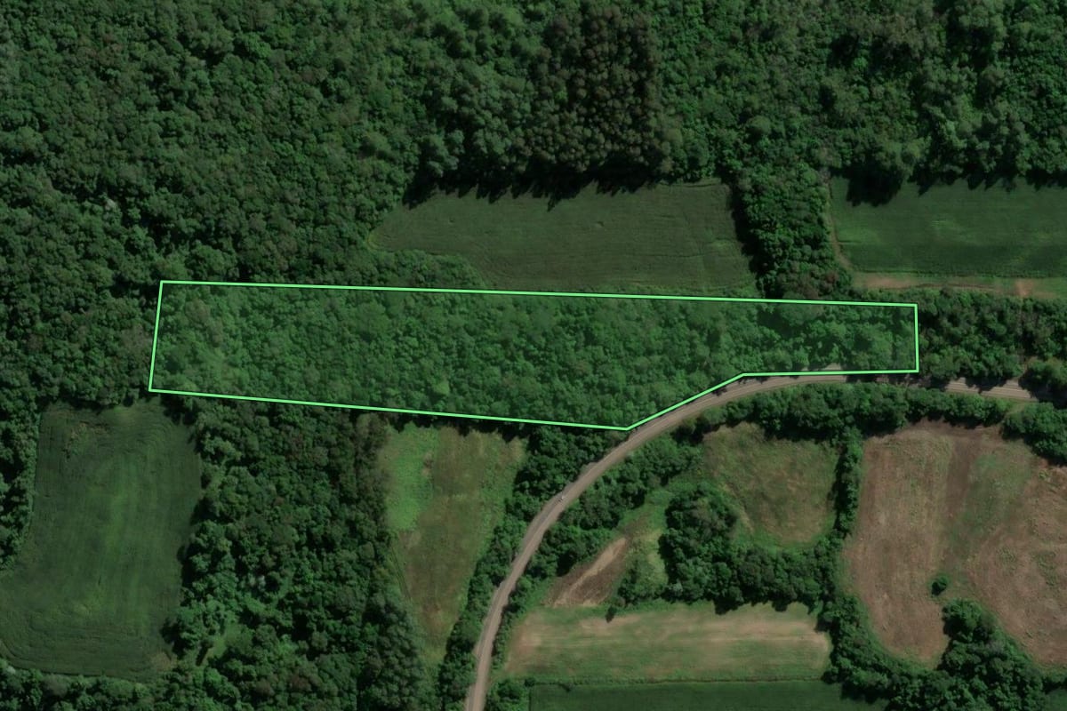 Imagem de satélite do imóvel rural em Westfália (RS), com o contorno declarado no CAR desenhado por cima.