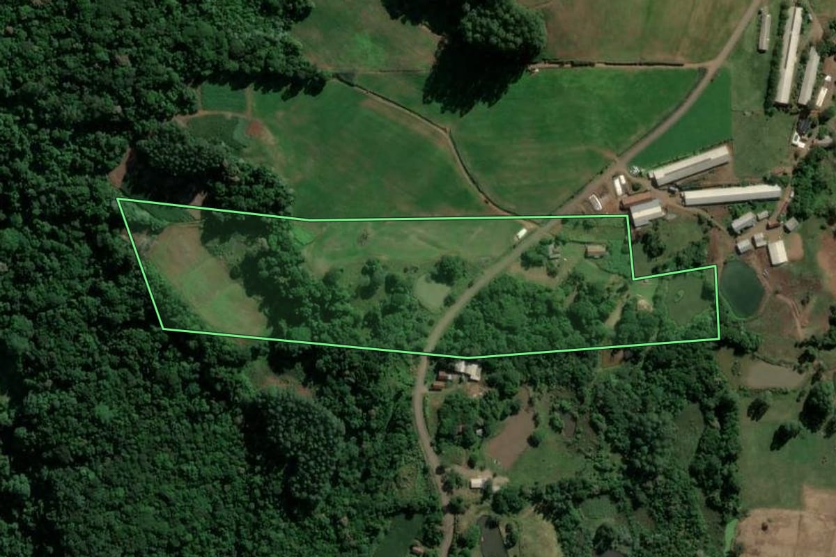 Imagem de satélite do imóvel rural em Westfália (RS), com o contorno declarado no CAR desenhado por cima.