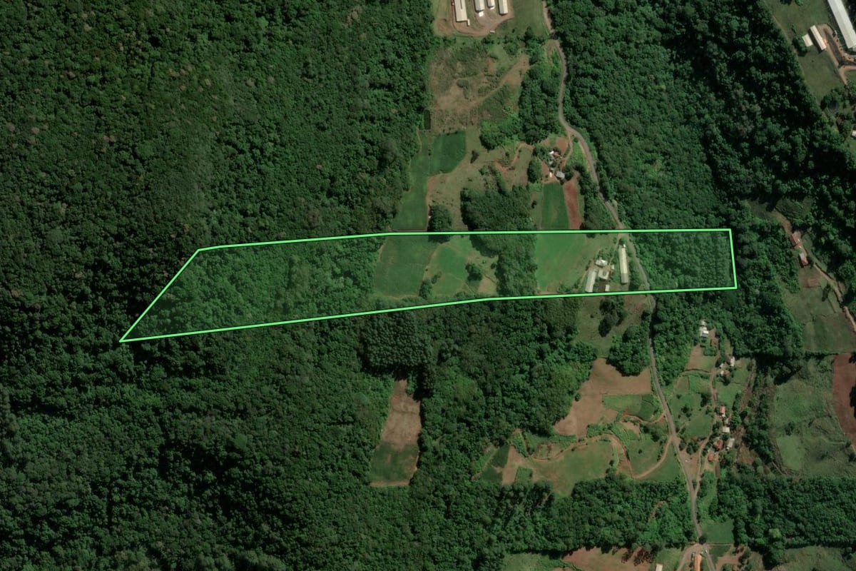 Imagem de satélite do imóvel rural em Westfália (RS), com o contorno declarado no CAR desenhado por cima.