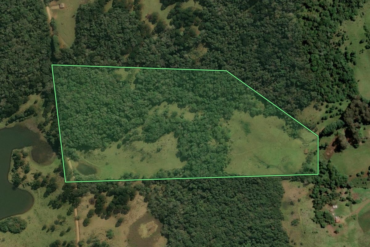 Imagem de satélite do imóvel rural em Abdon Batista (SC), com o contorno declarado no CAR desenhado por cima.