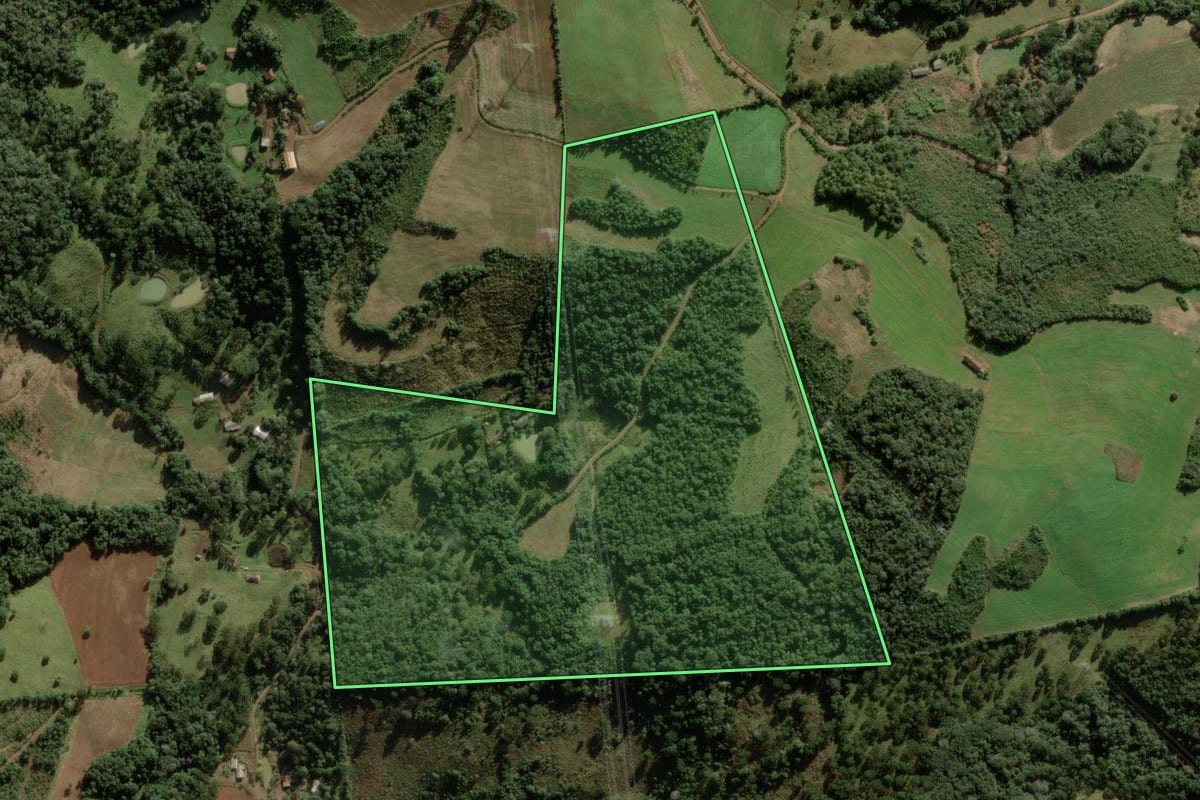 Imagem de satélite do imóvel rural em Abdon Batista (SC), com o contorno declarado no CAR desenhado por cima.