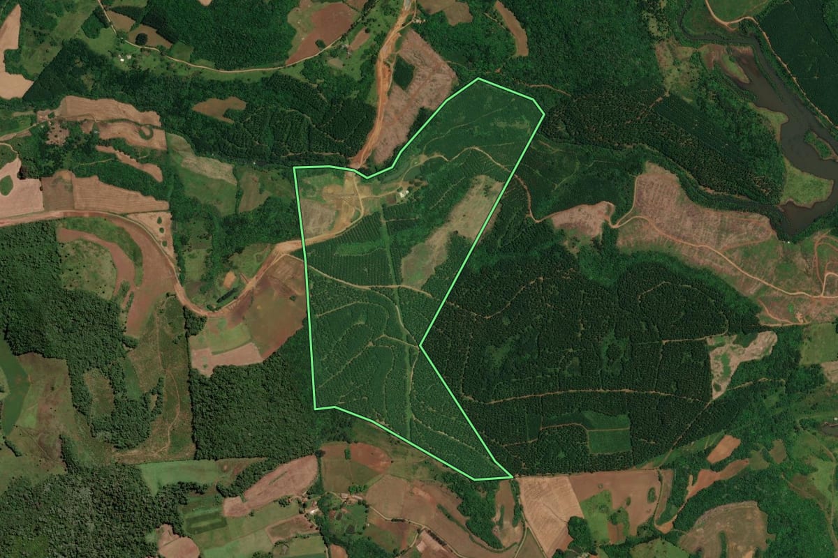 Imagem de satélite do imóvel rural em Abdon Batista (SC), com o contorno declarado no CAR desenhado por cima.