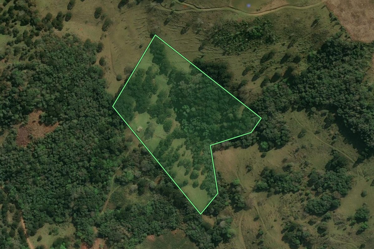 Imagem de satélite do imóvel rural em Abdon Batista (SC), com o contorno declarado no CAR desenhado por cima.