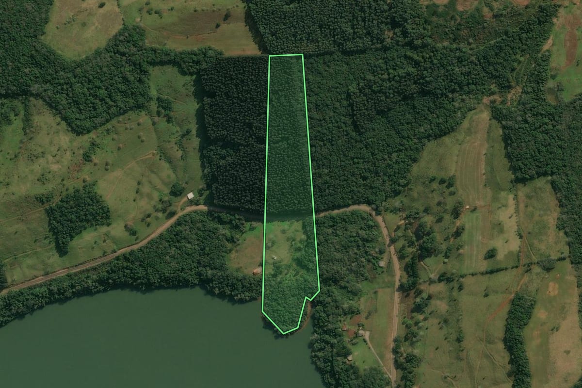 Imagem de satélite do imóvel rural em Abdon Batista (SC), com o contorno declarado no CAR desenhado por cima.