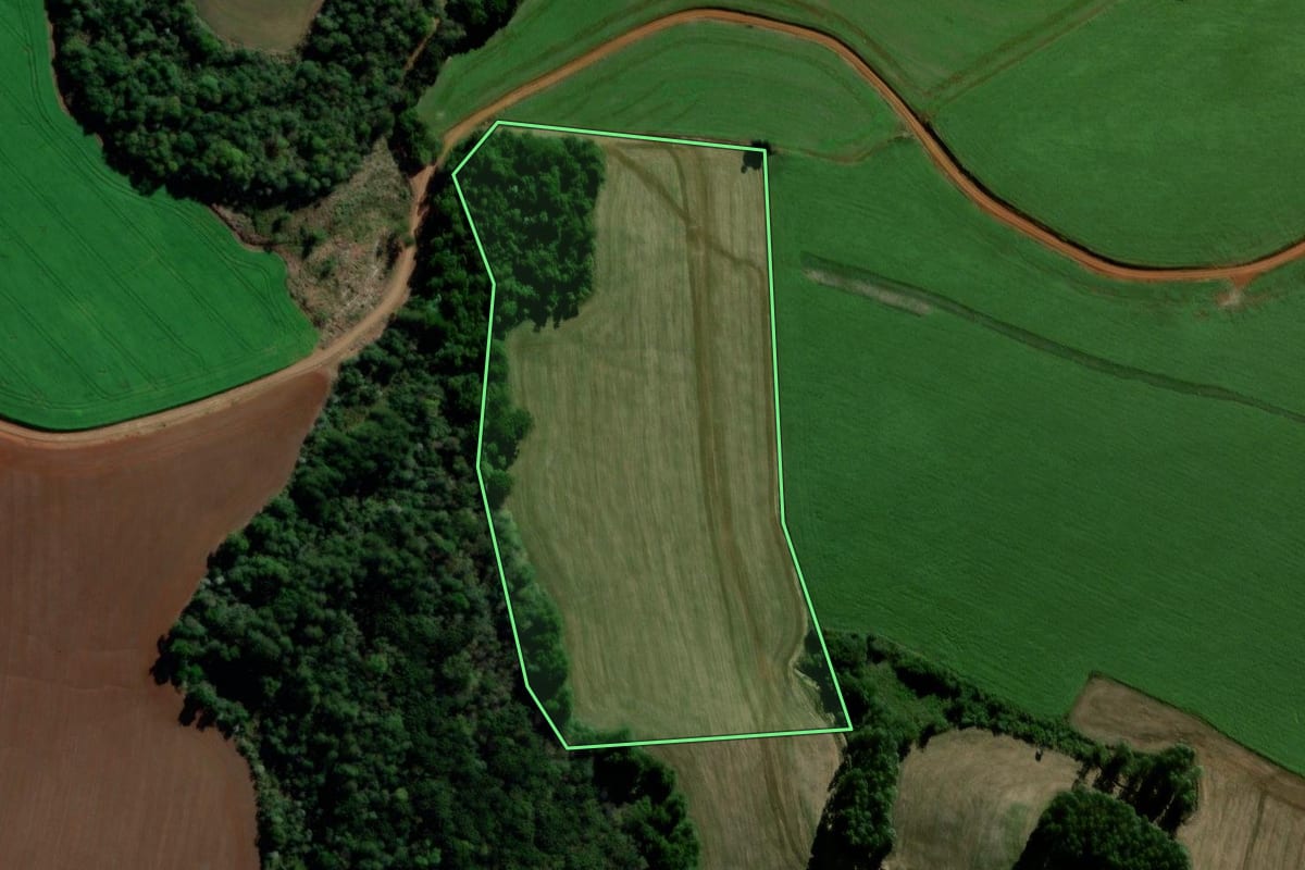 Imagem de satélite do imóvel rural em Abelardo Luz (SC), com o contorno declarado no CAR desenhado por cima.