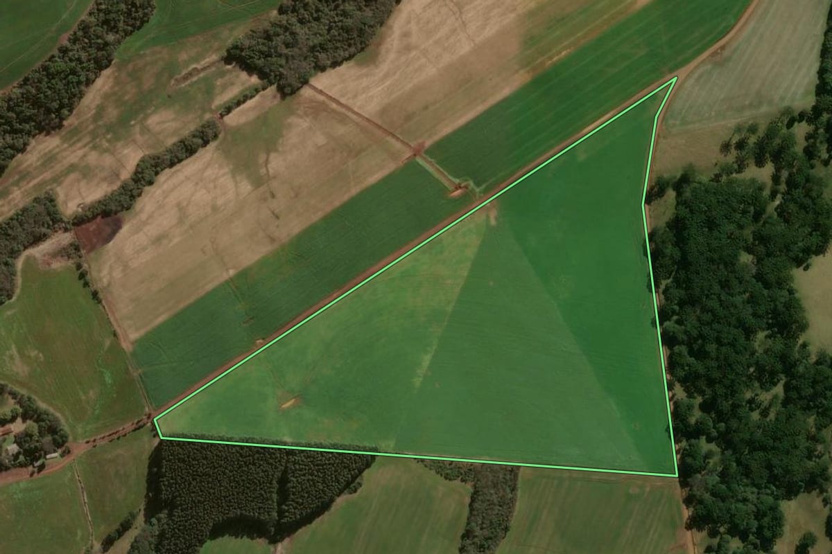 Imagem de satélite do imóvel rural em Abelardo Luz (SC), com o contorno declarado no CAR desenhado por cima.