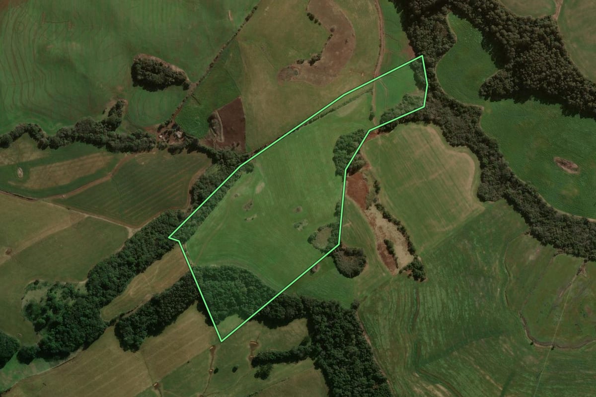 Imagem de satélite do imóvel rural em Abelardo Luz (SC), com o contorno declarado no CAR desenhado por cima.