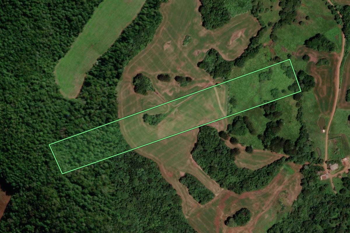 Imagem de satélite do imóvel rural em Abelardo Luz (SC), com o contorno declarado no CAR desenhado por cima.