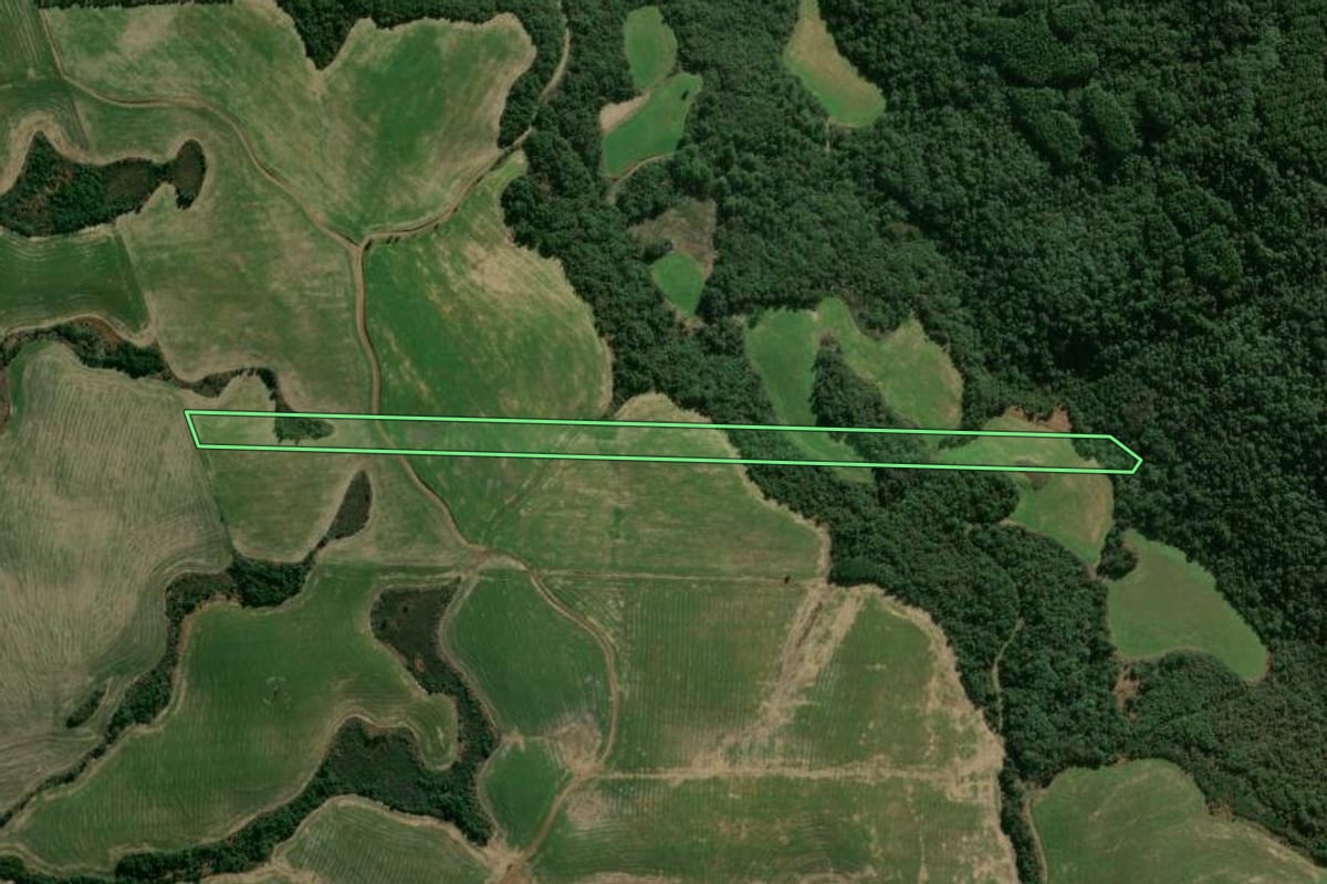 Imagem de satélite do imóvel rural em Abelardo Luz (SC), com o contorno declarado no CAR desenhado por cima.