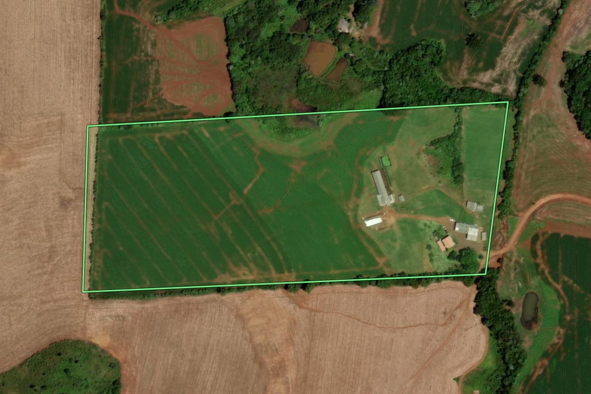 Imagem de satélite do imóvel rural em Abelardo Luz (SC), com o contorno declarado no CAR desenhado por cima.